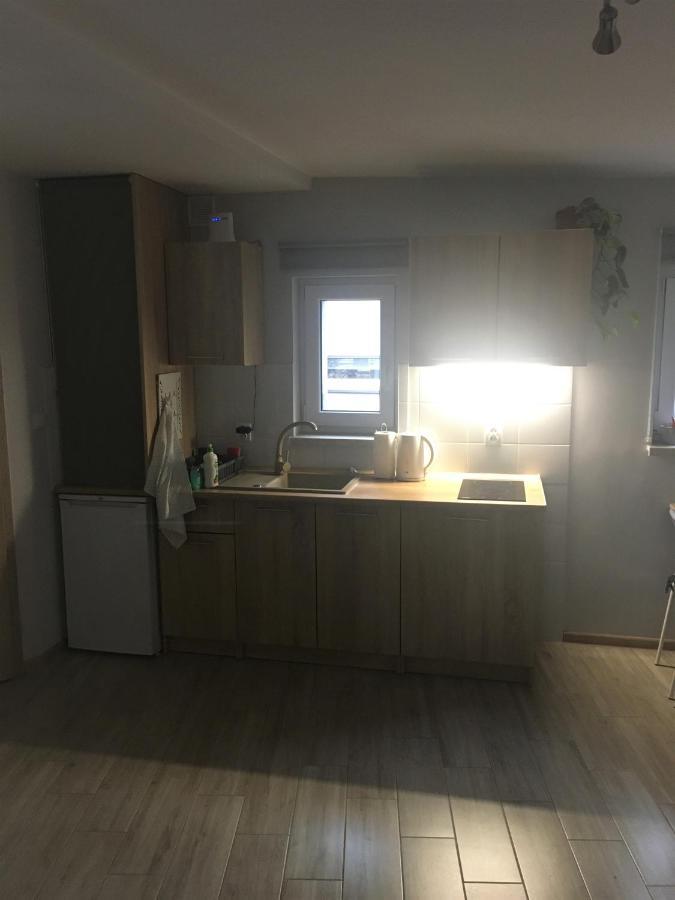 Apartmán "Na Wesolej" Tarnowskie Góry Exteriér fotografie